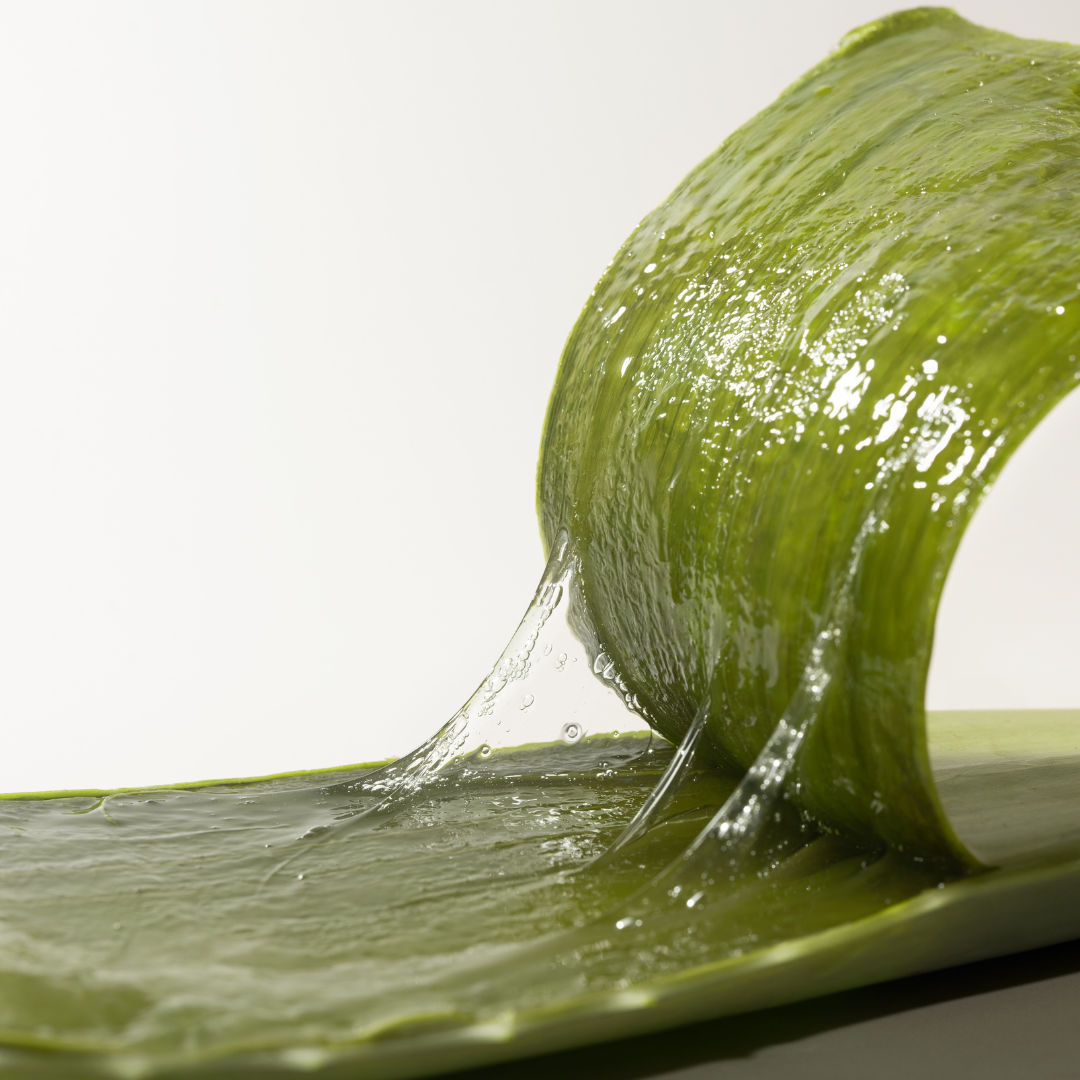 Warum Aloe Vera ein Kraftpaket fr gesunde Haut ist