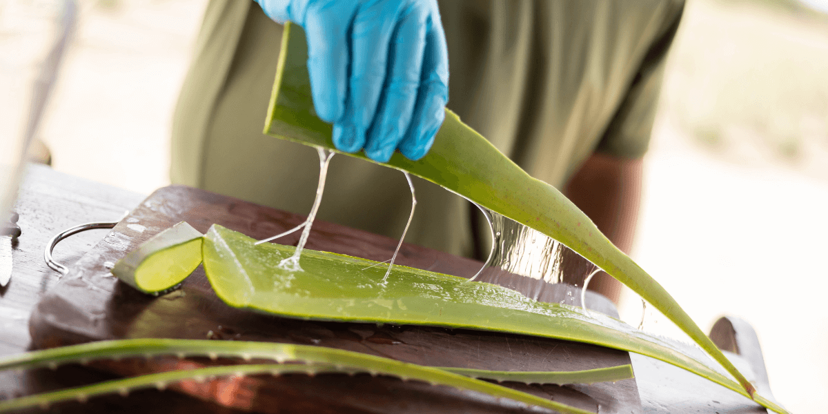 Aloe Vera Gel Royal Aruba Aloe