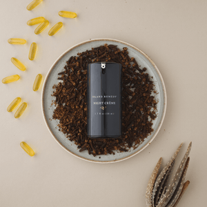 Aruba Aloe Night Cream 2